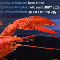 loginboy69