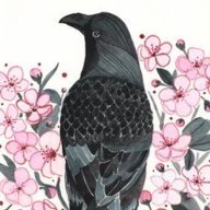 TheCrow