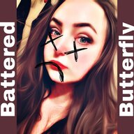 _battered_butterfly_