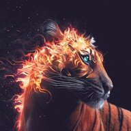 Dragon's Heart