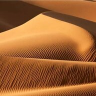 Dune