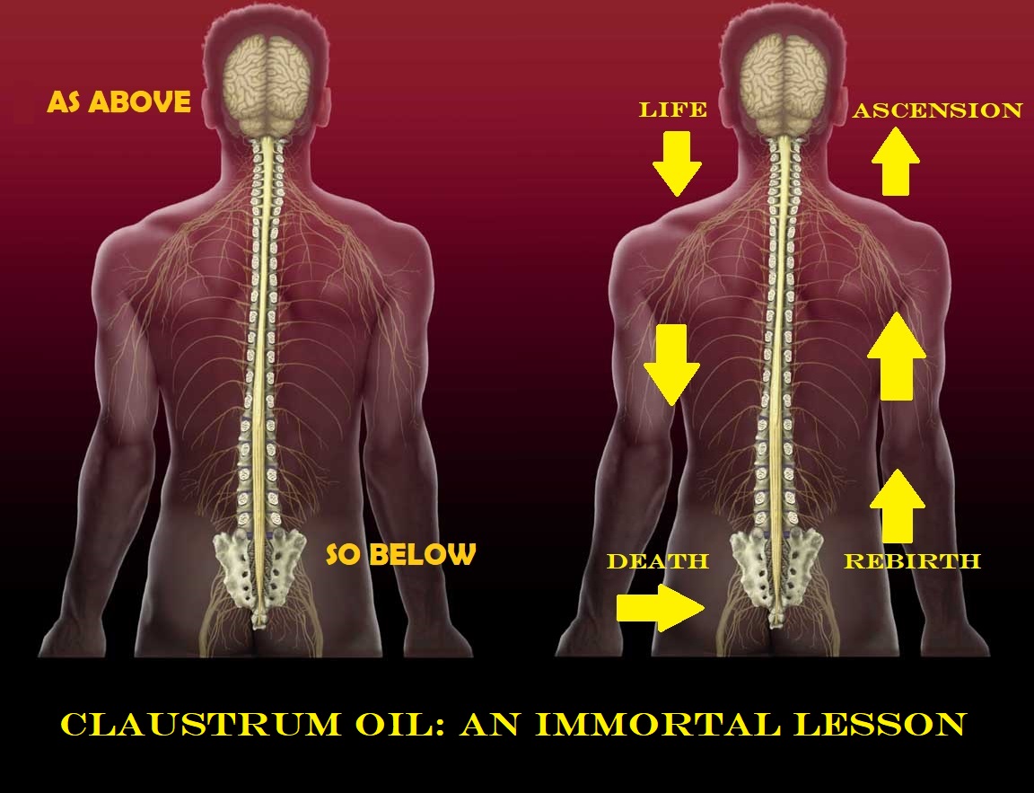 gnosismasonry.wordpress.com