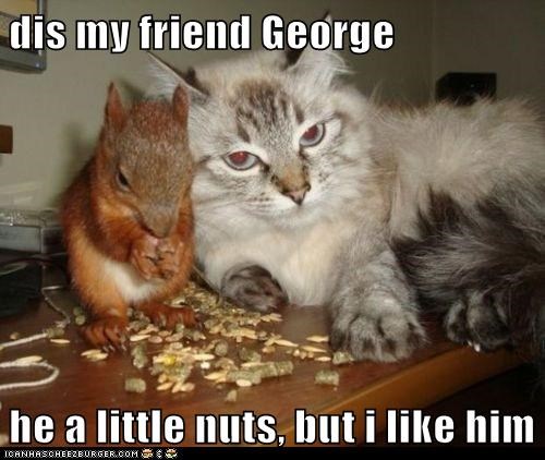 dis-my-friend-george