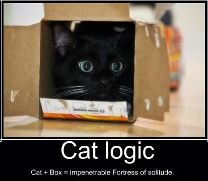 10-cat-logic-cat-box-impenetrable-fortress-solitude