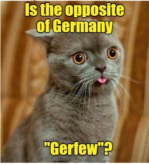 cheezburger-image-10551148800