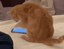 scroll-scrolling.gif