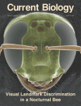 www.sciencedirect.com