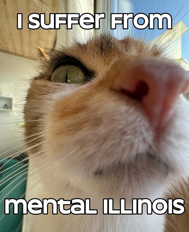 suffer-mental-illinois