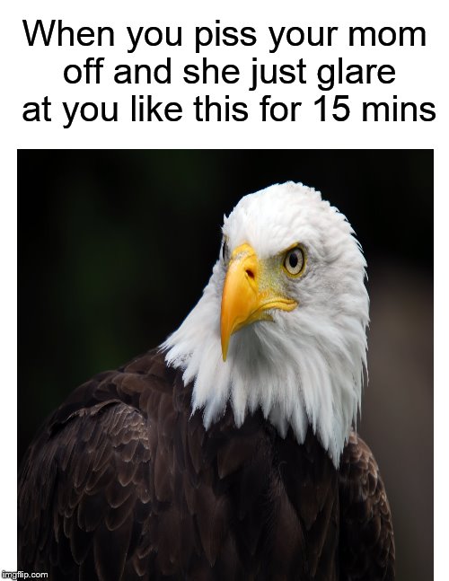 1ehln0.jpg