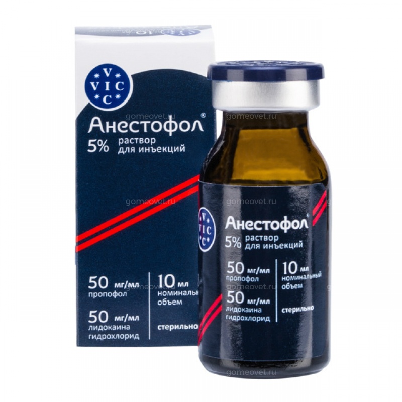 gomeovet.ru
