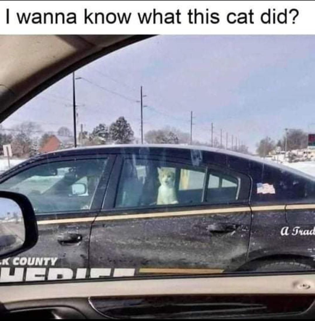 tomn7x3x7ilc1.jpeg