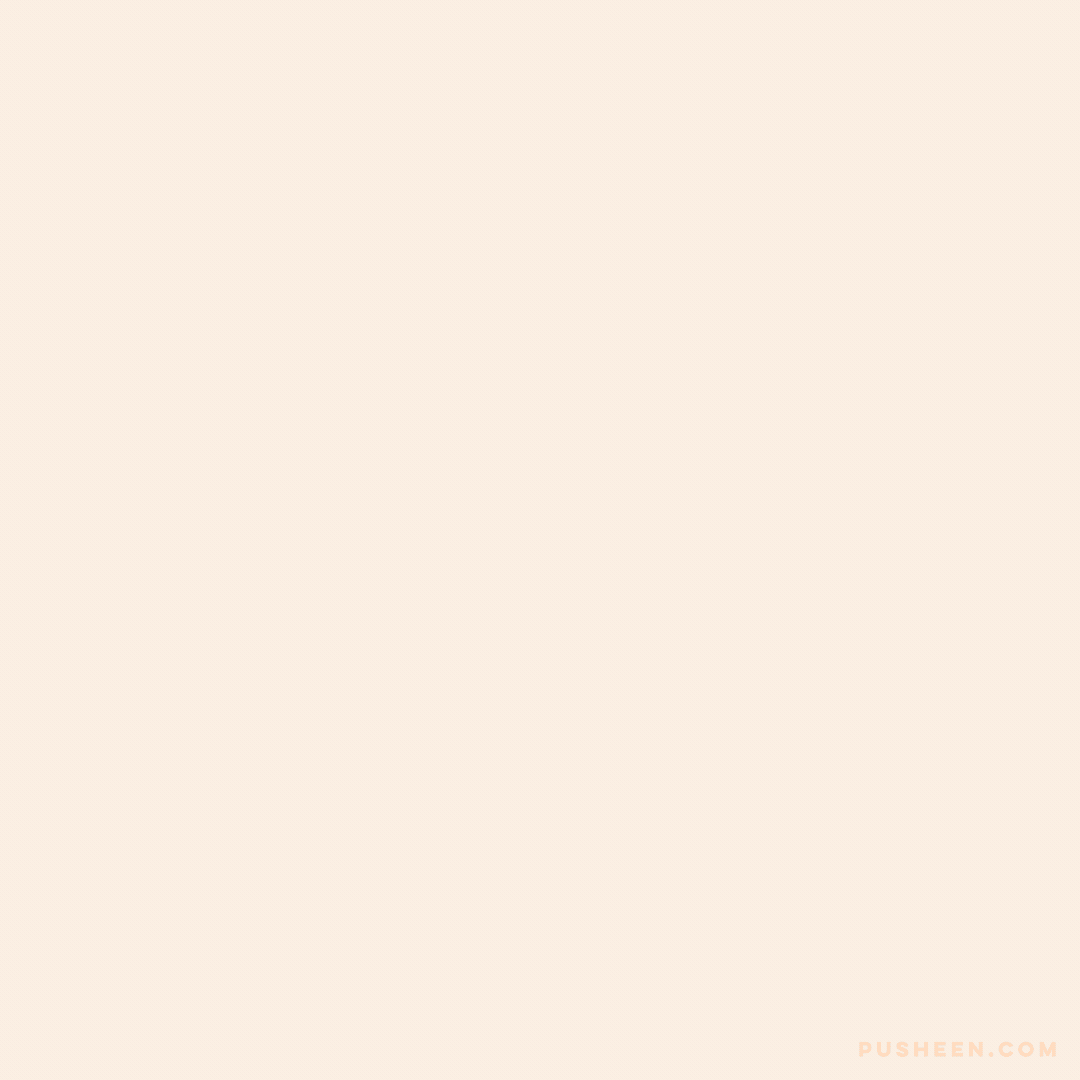 Cheer_Up_Froggy_GIF.gif