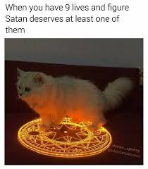 5a62517015a5e.jpeg