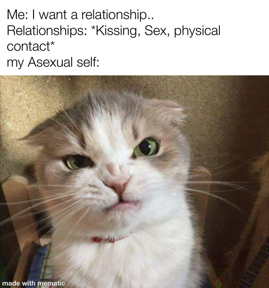 E7bQdkBXsAAYzvM.jpg