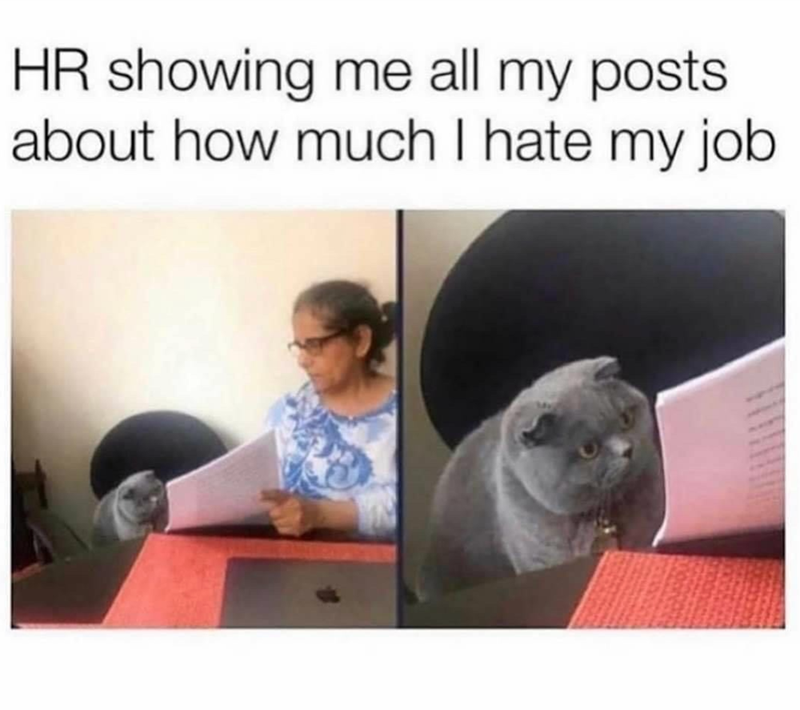 hr-showing-all-my-posts-about-much-hate-my-job