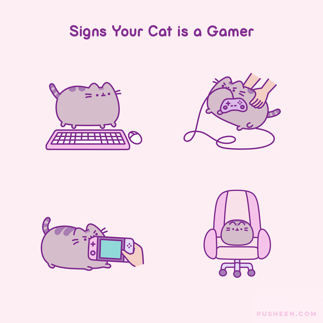 Signs_Your_Cat_is_a_Gamer.gif