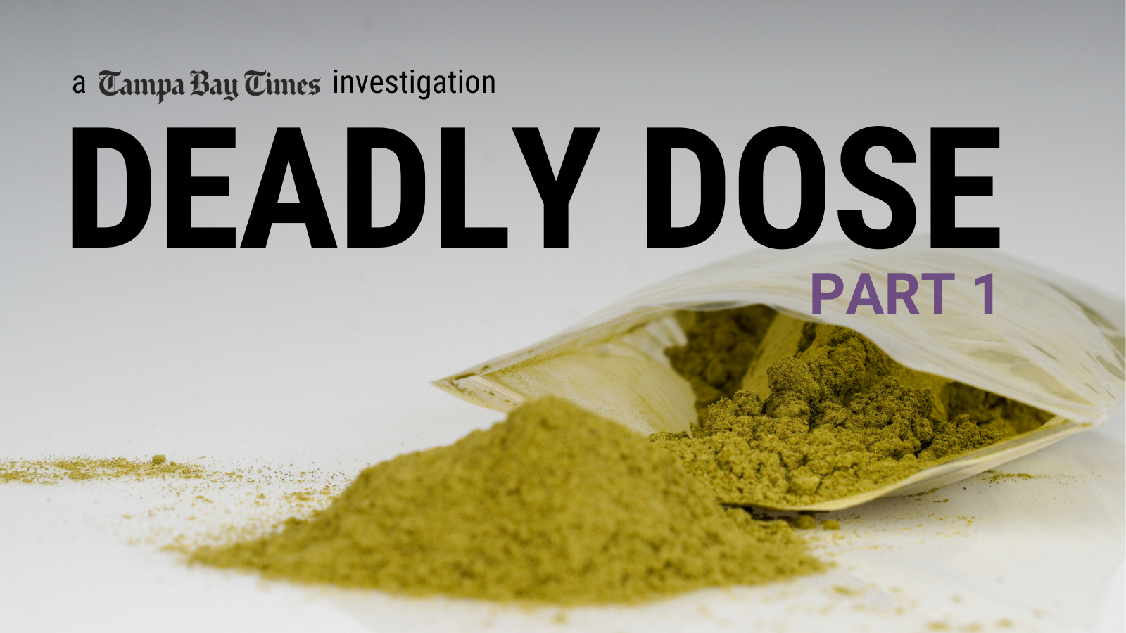 project.tampabay.com