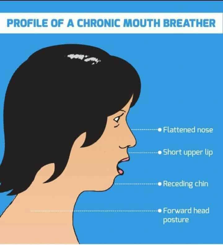 marylandholisticdentist.com