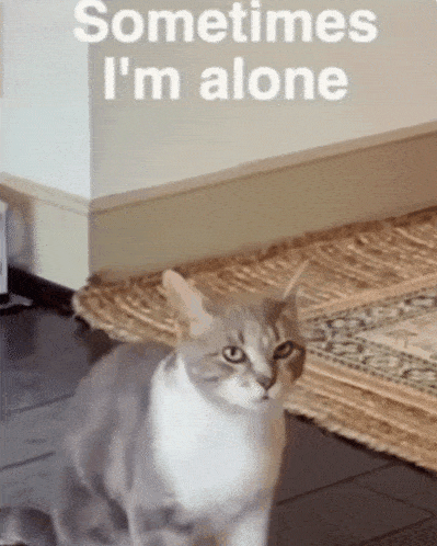 tenor.gif