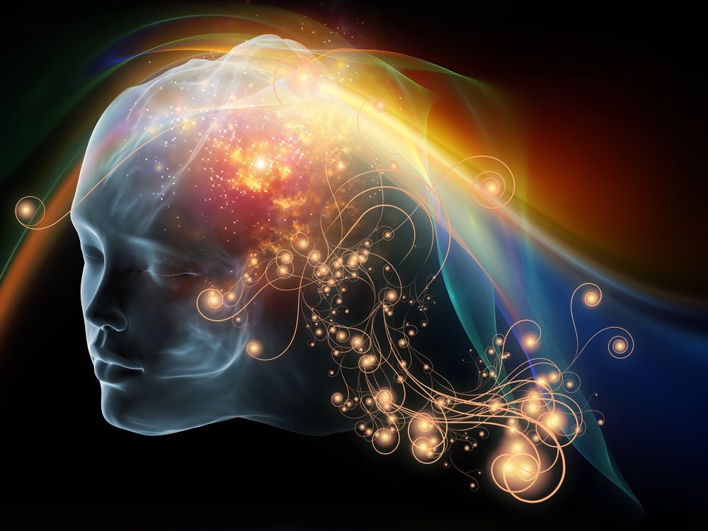 www.livescience.com
