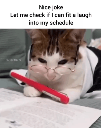 cat-cat-meme.gif