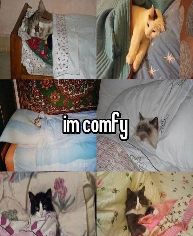 im-comfy-972-30