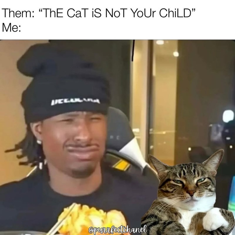 them-cat-is-not-child-purrfectchanel