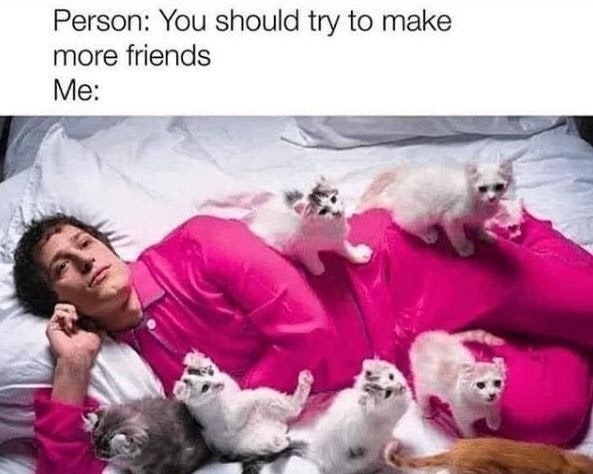 person-should-try-make-more-friends