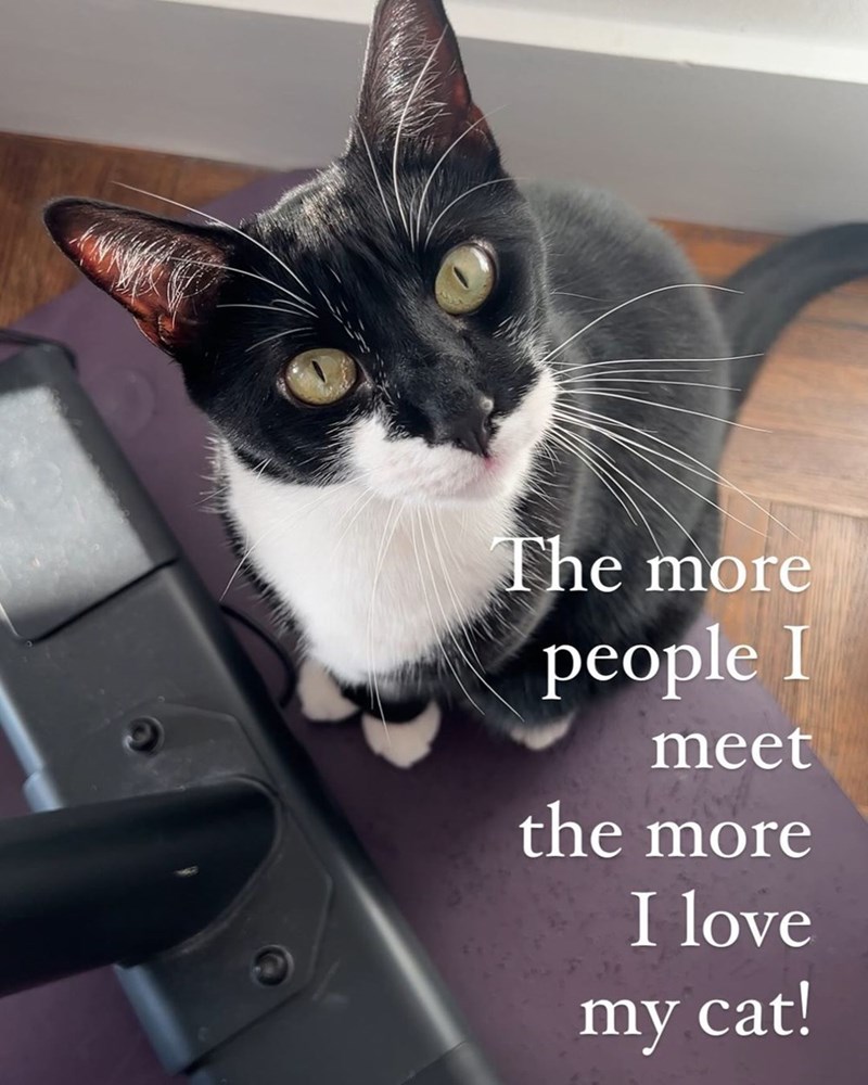 more-people-meet-more-love-my-cat