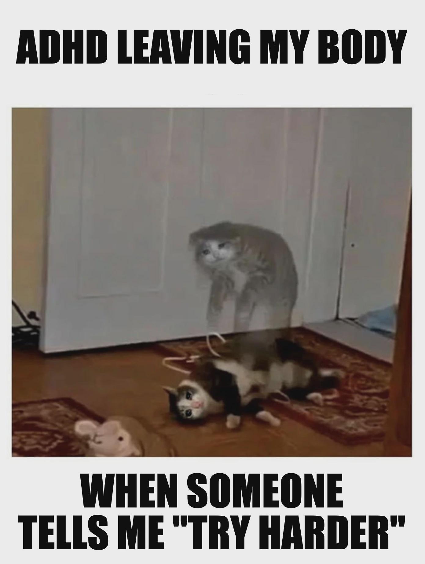 6obo30pmfkjc1.jpeg