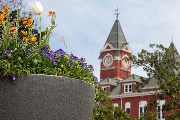 ocm.auburn.edu