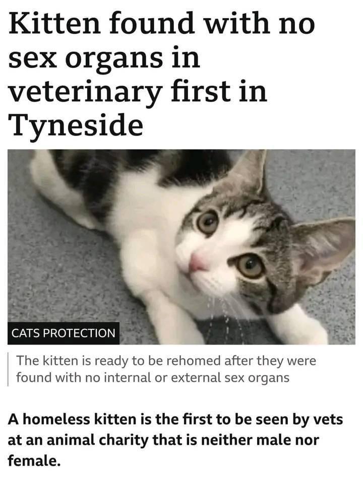 f6tyljhhgkxa1.jpg