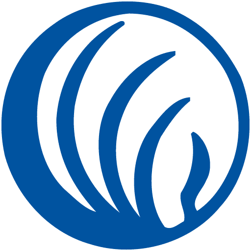 nami.org