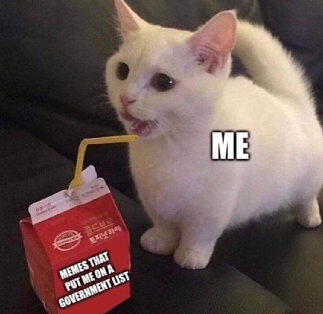 5d769bb5a0339.jpeg