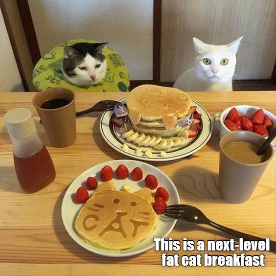 cheezburger-image-10420401920