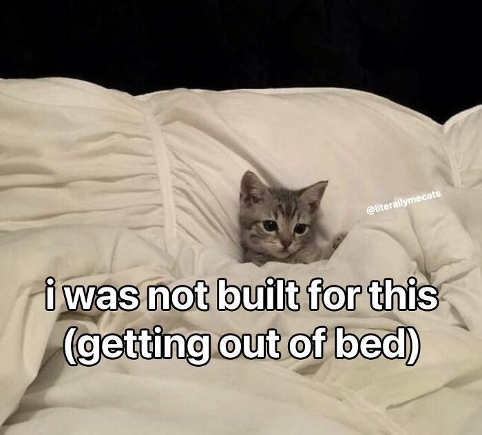 literallymecats-not-built-this-getting-out-bed