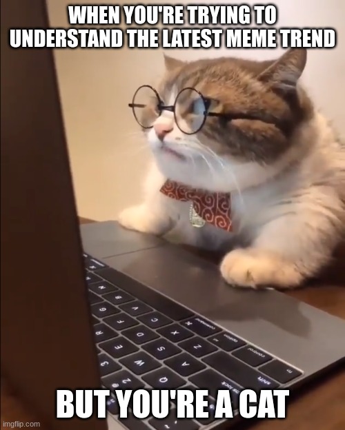 7qhn2g.jpg