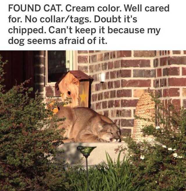 5db6c4711d223.jpeg