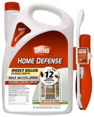 image-7441.jpeg