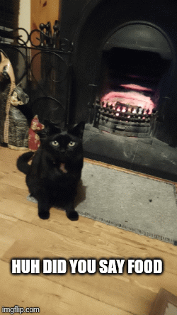 3i36iw.gif