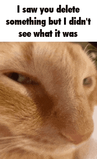 i-saw-what-you-deleted-cat.gif