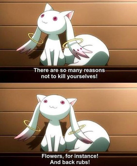 anime-memes-kyubey-flowers-and-back-rubs